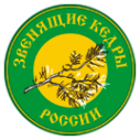 Логотип компании Звенящий кедр России