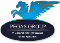 Логотип компании Пегас Групп